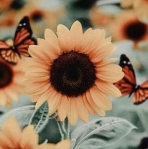 Meet your Posher, Cayleigh